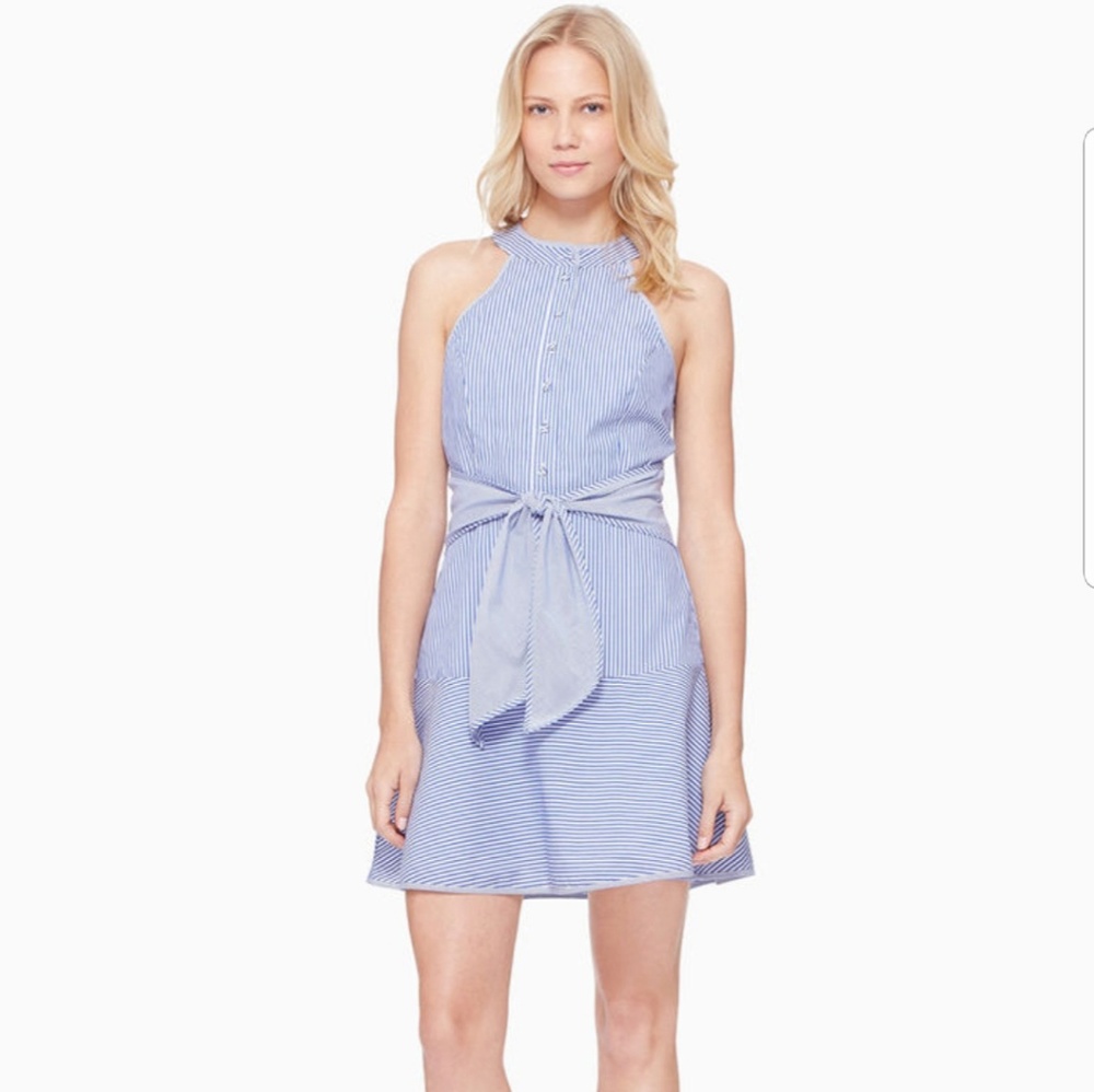 NWT Parker Lauralie Pinstripe Dress